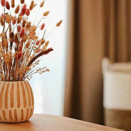 Cato - Jouw Boutique Beleving Aan Zee Nieuport